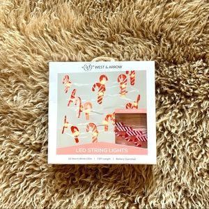 New West & Arrow Mini Candy Cane LED String Lights